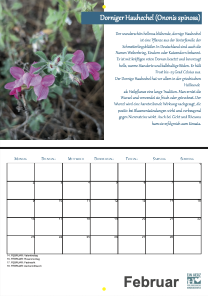 Bildschirmfoto 2025-12-02 um 15.06.50