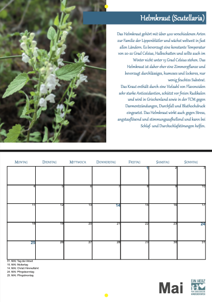 Bildschirmfoto 2025-12-02 um 15.07.31