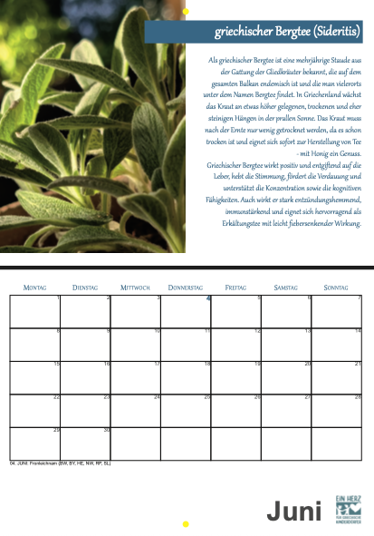 Bildschirmfoto 2025-12-02 um 15.07.45