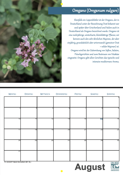 Bildschirmfoto 2025-12-02 um 15.08.12