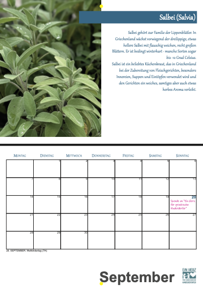 Bildschirmfoto 2025-12-02 um 15.08.24