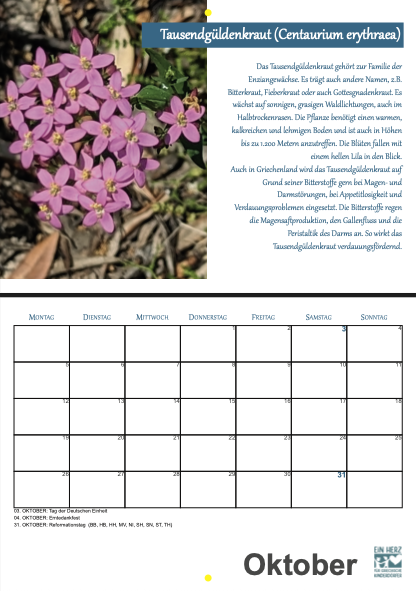 Bildschirmfoto 2025-12-02 um 15.08.35