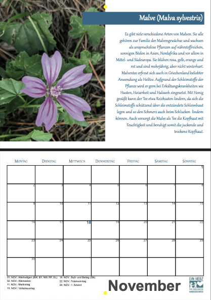 Bildschirmfoto 2025-12-02 um 15.08.46