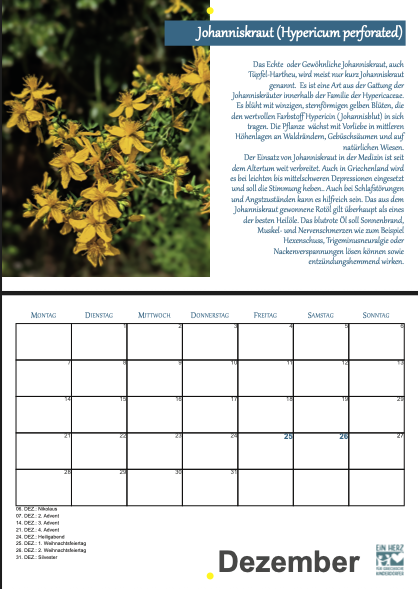 Bildschirmfoto 2025-12-02 um 15.08.58